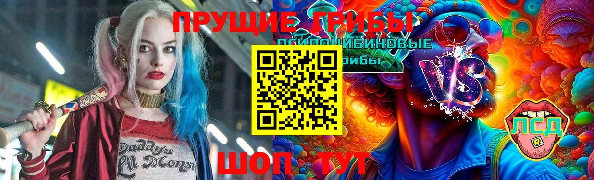 Псилоцибиновые грибы Cubensis Отрадное