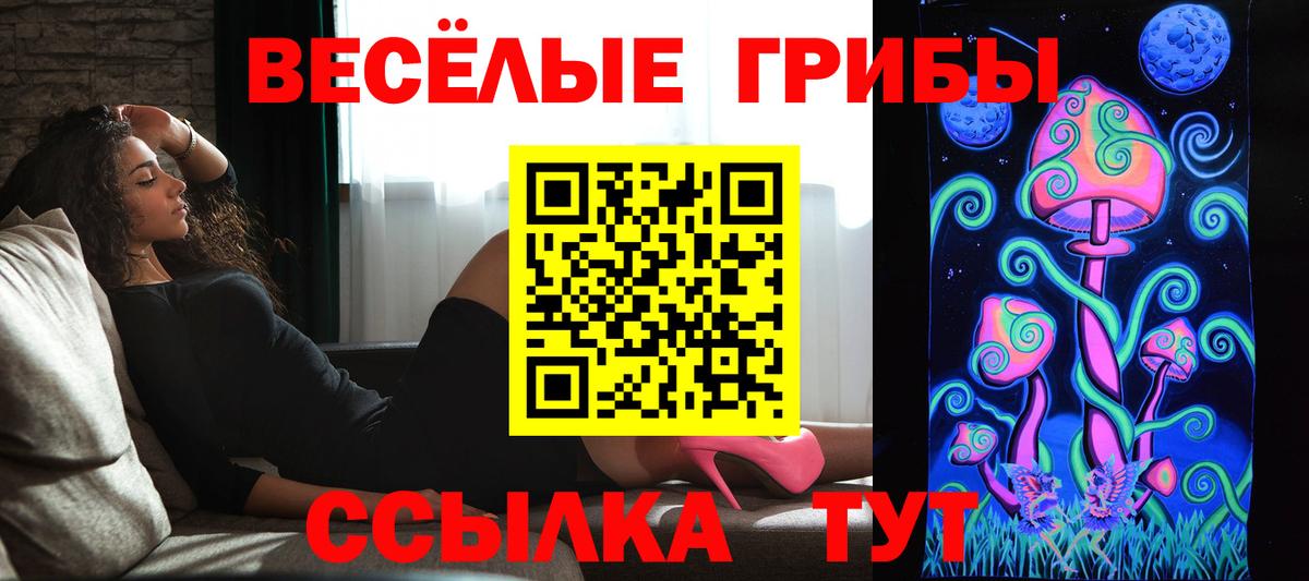 Псилоцибиновые грибы прущие грибы  Вход с VPN  продажа наркотиков  Отрадное 